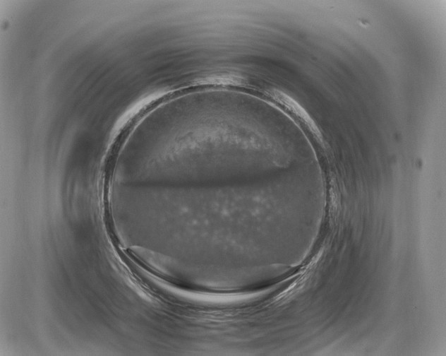 X0000087421035200704201421