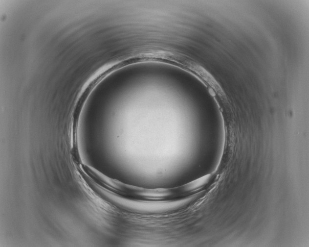 X0000087421036200704201421