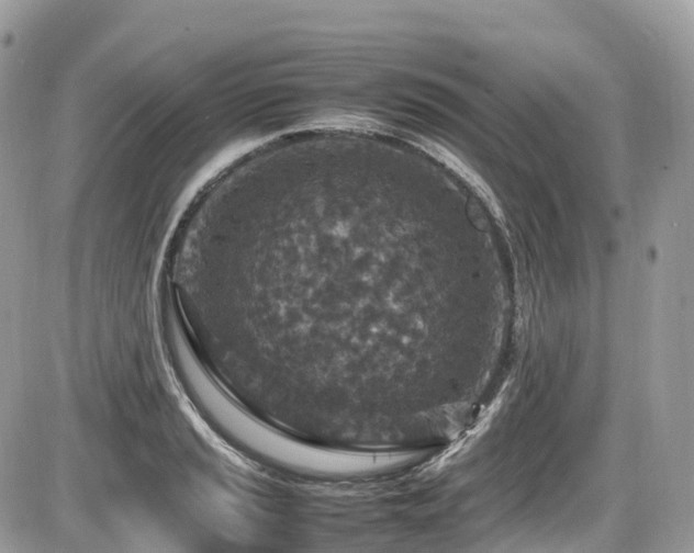 X0000087421037200704201421