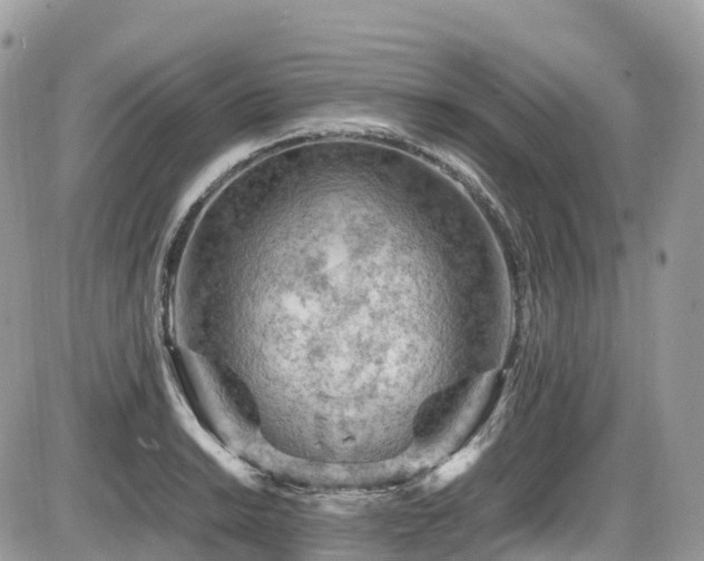 X0000087421038200704201421