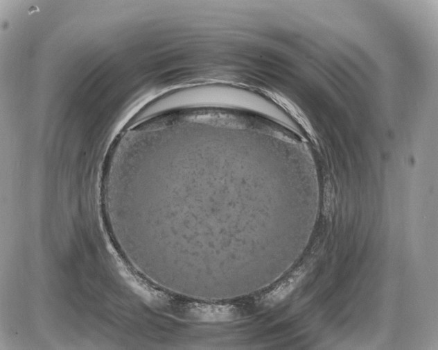 X0000087421039200704201421