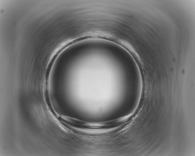 X0000087421040200704201421