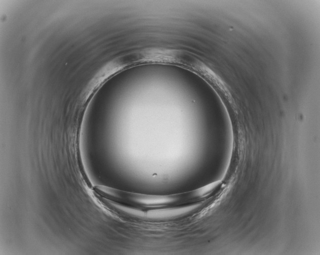 X0000087421041200704201421