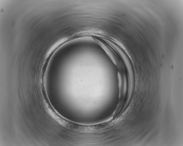 X0000087421042200704201421