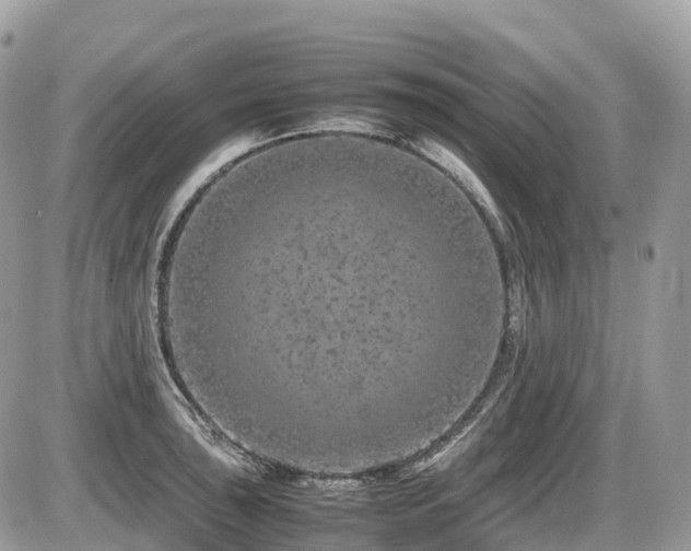 X0000087421043200704201421