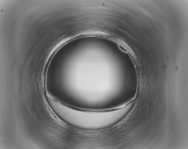 X0000087421044200704201421