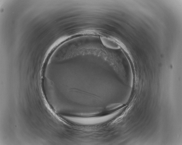 X0000087421045200704201421