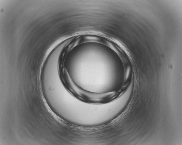 X0000087421046200704201421