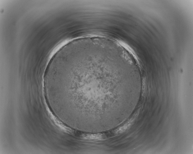 X0000087421047200704201421