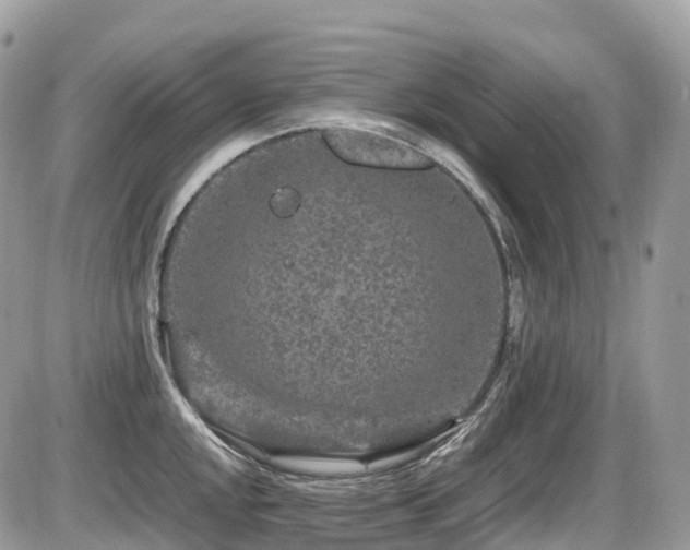 X0000087421048200704201421