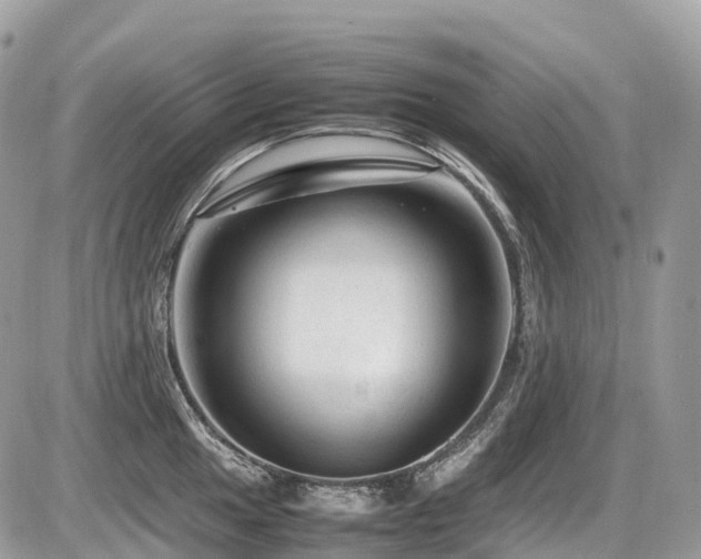 X0000087421049200704201421