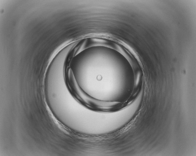 X0000087421050200704201421