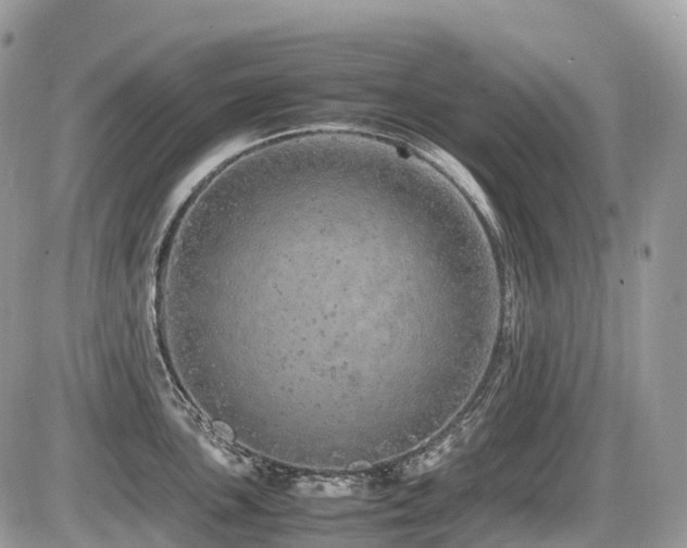 X0000087421051200704201421