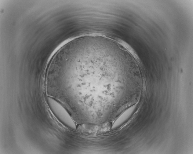 X0000087421052200704201421