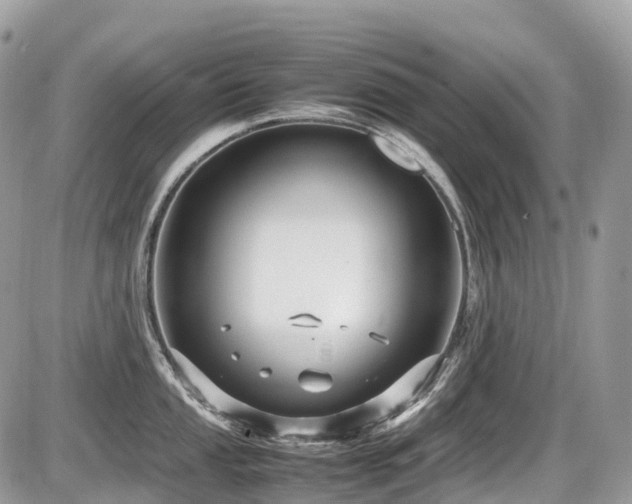 X0000087421053200704201421