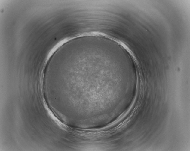 X0000087421054200704201421