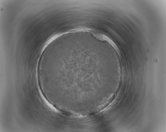 X0000087421055200704201421