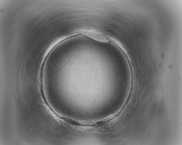 X0000087421056200704201421