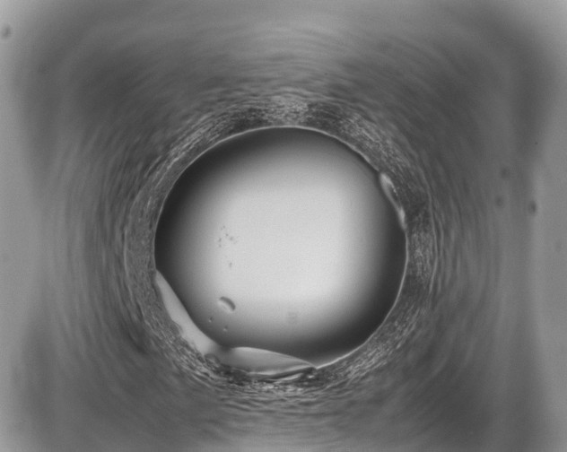 X0000087421057200704201420