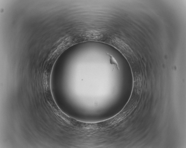 X0000087421058200704201420