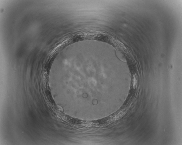 X0000087421059200704201420