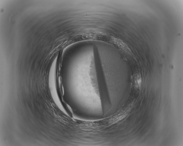 X0000087421060200704201420