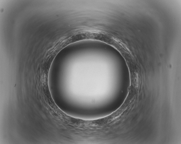 X0000087421061200704201420