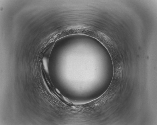 X0000087421062200704201420