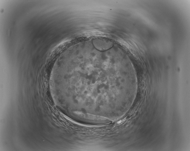 X0000087421063200704201420