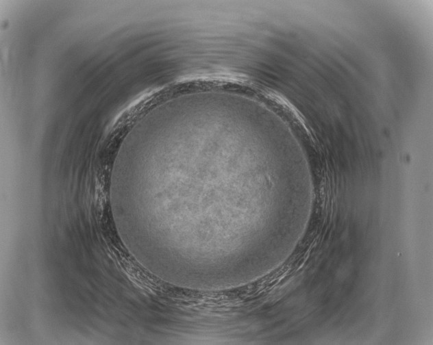 X0000087421064200704201420