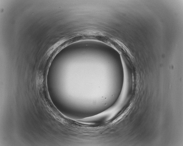 X0000087421065200704201420