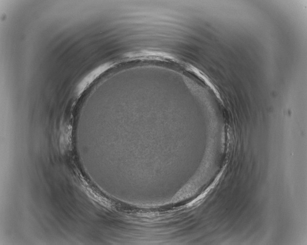 X0000087421066200704201420