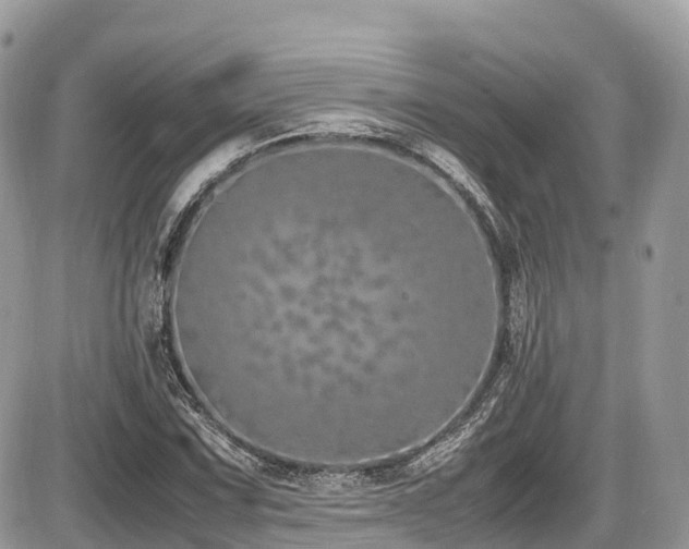 X0000087421067200704201420