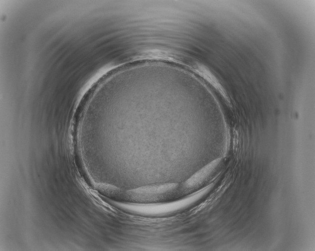 X0000087421068200704201420