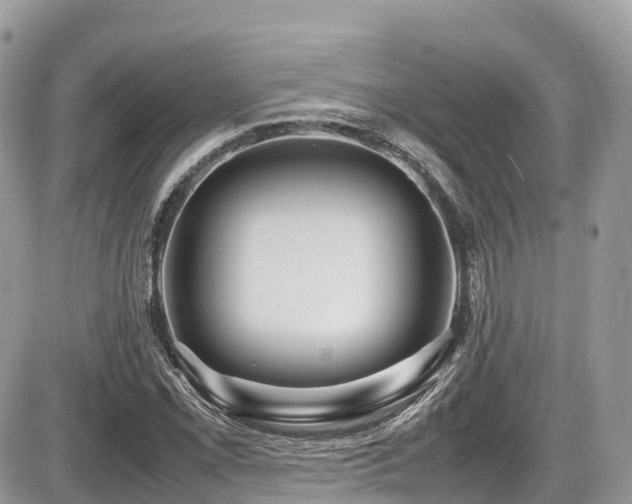 X0000087421069200704201420