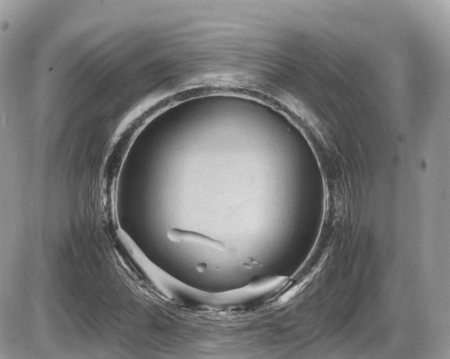 X0000087421070200704201420