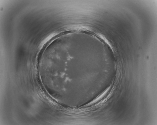 X0000087421071200704201420