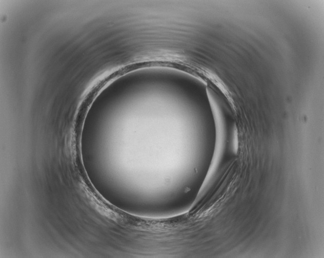 X0000087421072200704201420