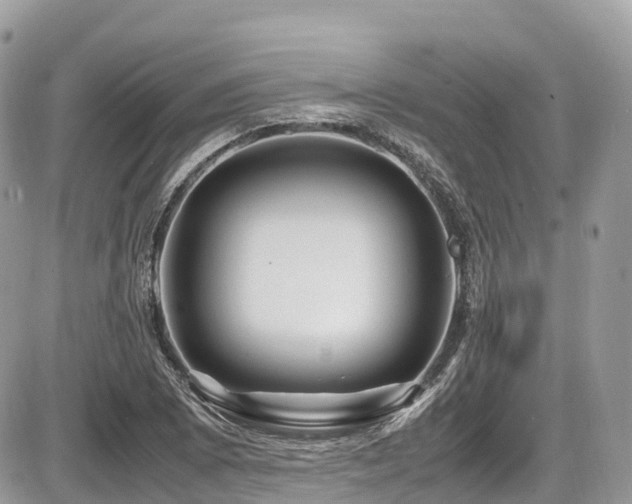 X0000087421073200704201420