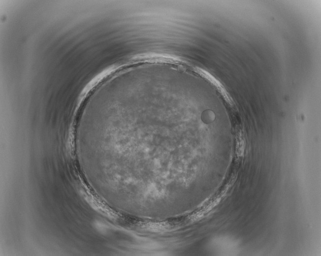 X0000087421074200704201420