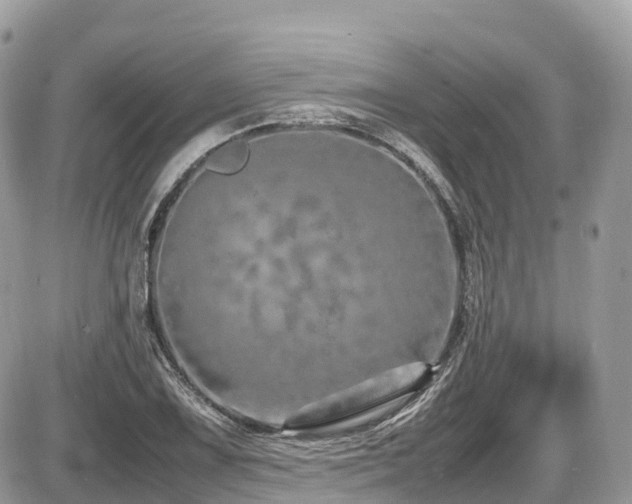 X0000087421075200704201420