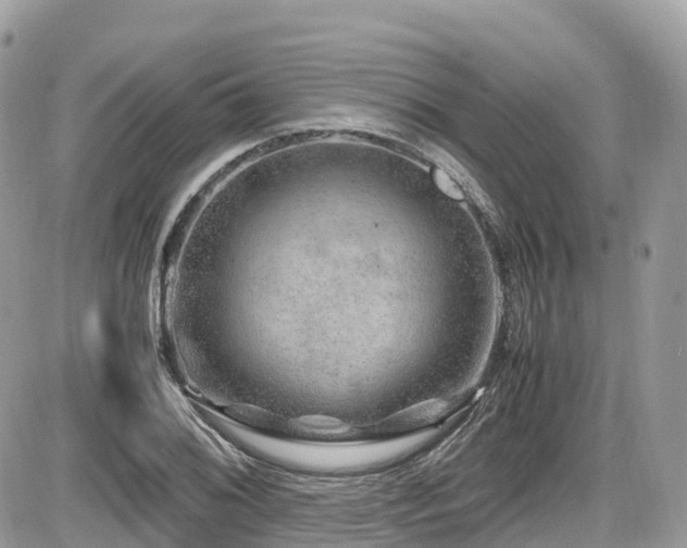 X0000087421076200704201420