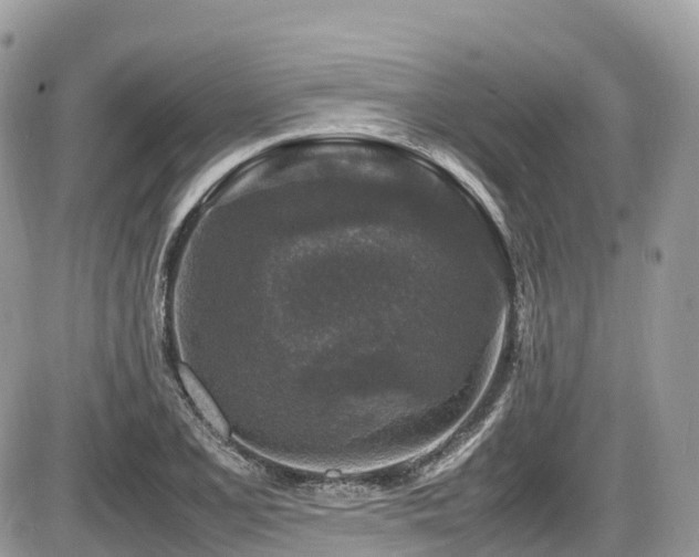 X0000087421077200704201420