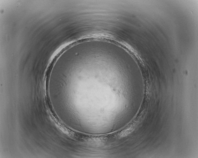 X0000087421078200704201420