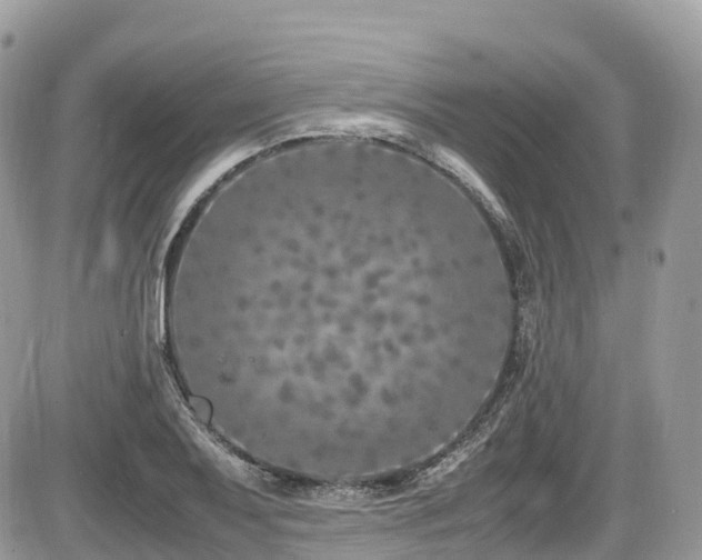 X0000087421079200704201420