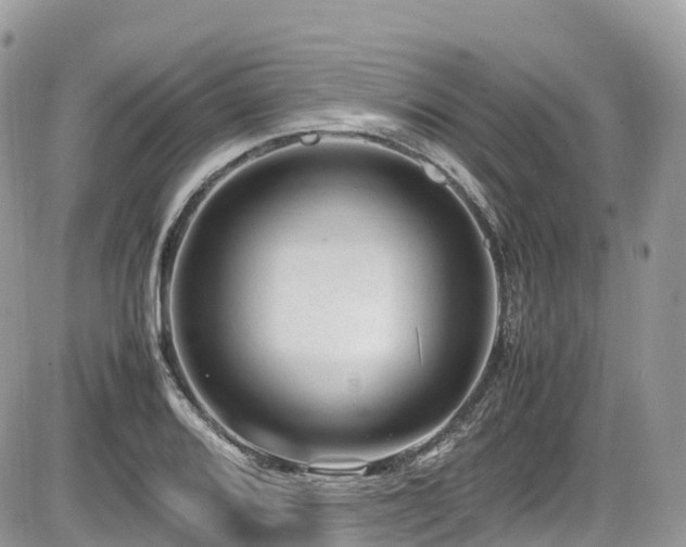 X0000087421080200704201420