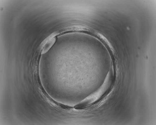 X0000087421081200704201420