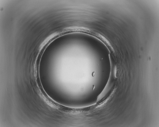 X0000087421082200704201420