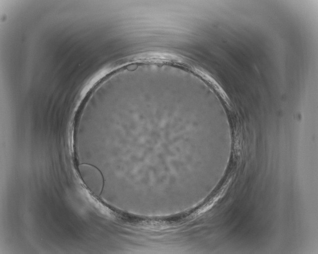 X0000087421083200704201420