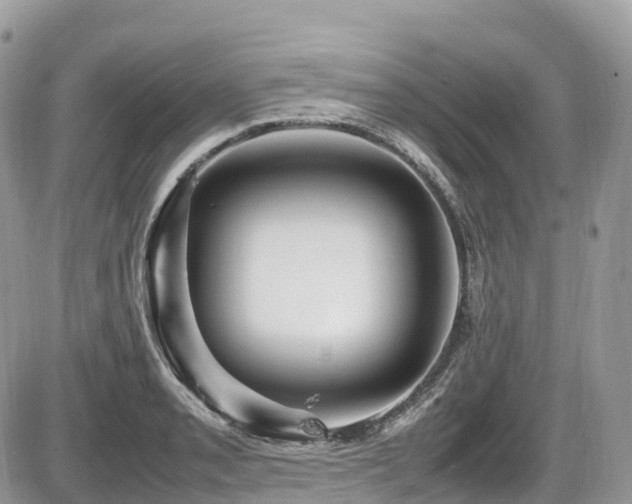 X0000087421085200704201420